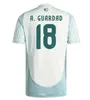 Mexiko 2024 2025 Copa America Raul Chicharito Soccer Jerseys Lozano dos Santos 24 25 H.Lozan0 Alvarez Men Kids Football Shirts Uniforms Långärmade spelversion