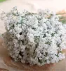 New Arrive Gypsophila Baby's Breath Artificial Fake Silk Flowers Plant Home Wedding Decoration