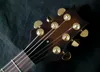 Neuankömmling Inlay Bird Griffbrett PRS Custom 24 Bund E-Gitarre Quilt Top Gold Hardware