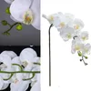 Artificial Orchid Bulk Real Touch Large Latex Orchid Fake Phalaenopsis Flower Home Wedding Decoration 240322