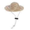 Appareil de chien Paille du chapeau de compagnie pour chat avec sangle réglable Sombrero Taille S /