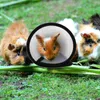 Hundkläder 2 datorer Valphalsar Anti Bite Anti-Pecking Hamster Neckband Ring Pet Recovery Protective