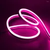 Cordas Flexíveis LED Luz IP65 À Prova D 'Água 5m Neon Strip para Decoração Diy Baixa Tensão Super Brilhante Lado Macio