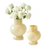 Vases Glass Vase Light Luxury Aesthetic Flower Arrangement Decoration