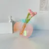 Wazony kreatywny art deparowany kwiat hydroponiczny aranżacja ins styl wazonu akrylowy