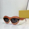 Nouvelles lunettes de soleil œil de chat cool pour femmes, mode, super grand cadre, lunettes de soleil photo de rue, pare-soleil de haute qualité, boîte d'emballage d'origine haut de gamme LW40119I