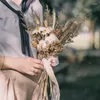 Decorative Flowers Tails Natural Pampas Dried Bouquet Home Decoration Artifical Flower Lover Grass Wedding Arrangment Decor