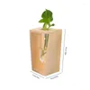 Vasos estações de propagação tubo de ensaio de madeira vaso de vidro planta viva arranjo decorativo terrário decoração de ar