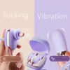 Vrouwelijke Masturbatie G-spot Vibrator Ei 10 Modi Clit Massage Zuigen Orale Speeltjes Voor Vrouwen Volwassen Producten Oplaadbare 240320