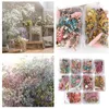 Flores decorativas 1 peça secas florais naturais arte artesanato scrapbooking resina fabricação de jóias penduradas