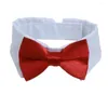Ubrania dla psów krawat krawat dla zwierzaka Kostium krawatów dla małych psów Puppy Grooming Bandana 1PC