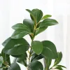 Single Stem Peppermint Leaf Branches Simulation Green Peppermint Tree Stems Green Wall Decorative Artificial Green Plant 11 LL