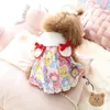 Dog Apparel Pet Clothes Bear Doll Dress For Dogs Clothing Cat Small Cute Thin Spring Summer Girl Pink Blue Chihuahua Products 2024