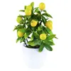 Fleurs décoratives petite plante artificielle, Faux arbre en plastique, bonsaï, décor en pot pour salle de bain, fausse fenêtre intérieure, table