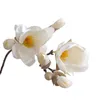 Fiori decorativi Singolo fiore di magnolia Produttore artificiale Decorazione domestica Festa dell'anno di matrimonio Falso