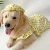 Dog Apparel Summer Dress Hat Small Skirt Big Large Clothes Poodle Samoyed Husky Border Collie Labrador Golden Retriever Clothing