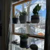 Racks d0ja transpaent akrylfönster växthyllor 2/3 lager rensar hängande flytande vägghylla blommor potten rack planter stativ dekor