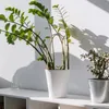 Suporte treliça de bambu vasos de plantas escalada acessórios de plantas de casa monstera pequeno interior 240322