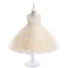 Beleza champanhe rosa branco alças vestidos de festa/aniversário de meninas vestidos de concurso de meninas vestidos de flores para meninas saias do dia a dia roupas infantis SZ 2-10 D327232