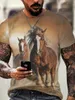 Hästtryck herr grafisk design o-hals roman t-shirt casual comfy tees tshirts för sommaren mäns kläder toppar h4kv#