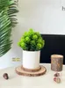 Decoratieve bloemen Gesimuleerde bloemornamenten Bonsai Mini-potplanten Tafeldecoratie Woonkamer Home Decor