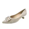 Jurk Schoenen Strass Gesp Halfhoge Hakken Vrouw 2024 Designer Pailletten Doek Pumps Dames Glitter Kristal Bruiloft Tacones