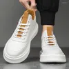 Casual Shoes 2024 Summer Autumn Thick Bottom Liten vit koreansk andningsskiva Sneakers för män