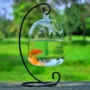 Tankar mini fiskbehållare akvarium tillbehör guldfisk glas fiskskål fiske hydroponics terrarium växt blomma pet husdjur manet karp