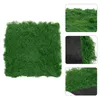 Decoratieve Bloemen Kunstmatige Nep Mos Turf Gras Pad Outdoor Terug Mini Tuin Tapijt Rekwisieten