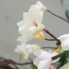 Kwiaty dekoracyjne Magnolia Wedding Rattan sztuczny kwiat winorośl plastikowe okno fałszywe dekoracja krajobrazu