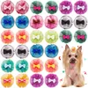 Appareils pour chiens 100 / 200pc