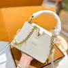 Designer Women Fashionable Tote Bag Paris Leather Handle Handbag Luxury Lady Underarm Classic Crossbody Bags Wallet 21CM