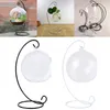 Présentoir de Vases ornement 1 paquet support suspendu en fer pour Globe en verre plante à Air Terrarium maison boule de sorcière 23cm