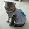 Katze Welpen Prinzessin Kleid, Sommer Haustierkleidung, gestreifte karierte Kleider mit Bogen für Katzen Kätzchen Kaninchen Sphynx Kleidungsstück Hundekleid