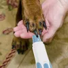 Hundkläder 5 datorer Slipande huvud nagellacker ersättning valp elektriska klippare vita husdjurstillbehör