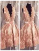 2019 Sexy Deep Vneck Aline Homecoming Dresses مع الزهور ثلاثية الأبعاد تزين التخرج الرسمي المصغر حزب العباءات المخصصة Vestidos 5256560