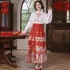 Robes de travail élégante jupe longue costume costume de costume de Hanfu brodé floral pour femme avec col en V à col en V à lacets pour Mamianqun