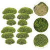 Dekoratif Çiçekler 6 PCS Mikro Moss Taş Faux Mossy Ofis Dekor Vazoları Ev Bahçe Düzeni Prop Ball Bonsai Dekorasyonları