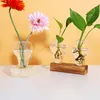 Vaser 3Styles Transparent glödlampa Blomma Arrangemang med baskonst Hydroponic Bottle Modern Glass vardagsrum Desktop Decor