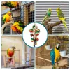 Inne ptaki dostarcza zabawki na papugi naturalne drewno kolorowe kakadoo żuć super kreacje