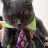 Jojos bizarre aventura animal de estimação gato gravata kira yoshikage guido mistura cosplay colar bonito bonito anime acessórios adereços de natal 240320