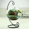Vases 1X 23cm 9" Iron Plant Stand Holder Hanging Flowers Vase Pot Container Flower Metal