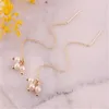 Orecchini pendenti Perla barocca bianca Lunga 18 carati Gancio per orecchio Regalo Matrimonio impeccabile Moda Classico Affascinante Accessori reali per feste