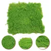 Fleurs décoratives artificielles faux tapis de mousse herbe Mini jardin décor extérieur décorer gazon perle coton Micro paysage scène réaliste plante