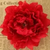 Konstgjorda blommor Silk Peony Heads Party Wedding Decoration Supplies Simulation Fake Flower Head Home Decorations WX-C09