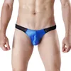 Underpants Men Briefs Cotton 2024 Male Underwear Shorts Low Rise Brand Swimwear Bikini Thin Bulge Pouch Brief Plus Size Seamless