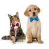 Hundekleidung 50/100pcs Bögen Mix Farben Großhandel Pet Pet Wlowing Accessoires Katzenfliege Verstellbare Bowtie -Produkte