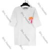 Summer Mens T Shirts Palm Vinklar T-shirt för män Tshirts Women Palmly Angeles Tshirt Letter Graphic Tee Tops Loose Las Palmy Cotton Designer T-shirt Plam Angel 322