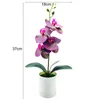 Dekoratif çiçekler süslü renksiz esnek hava dirençli düğün yapay orkide çiçek tencere bitkisi yeniden kullanılabilir