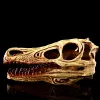 Rzeźby Moquerry Raptor dinozaur czaszka czaszka żywica Czaszka replika replika model szkieletowy żywica czaszka dekoracje domowe Halloween
